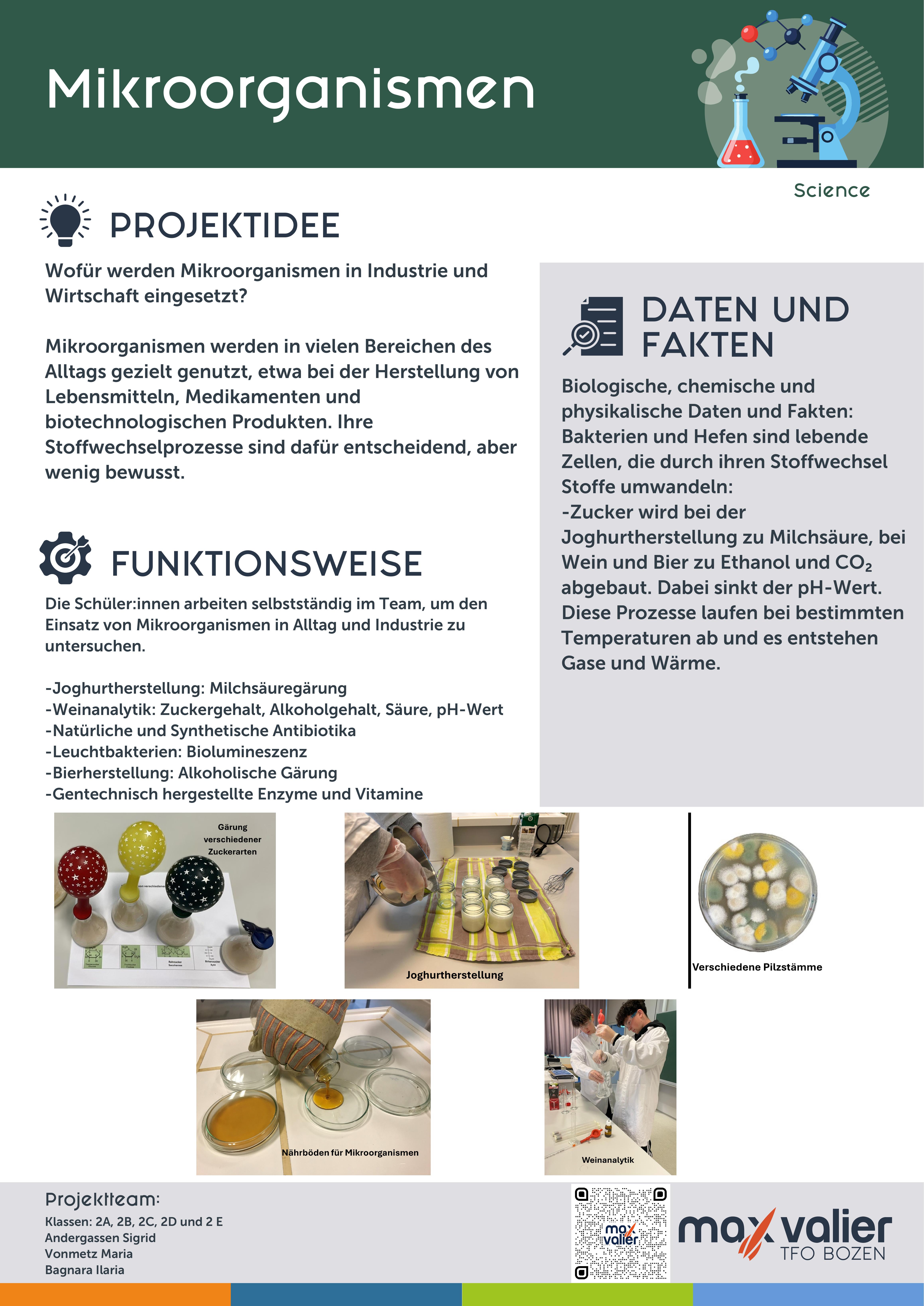 Buchseite