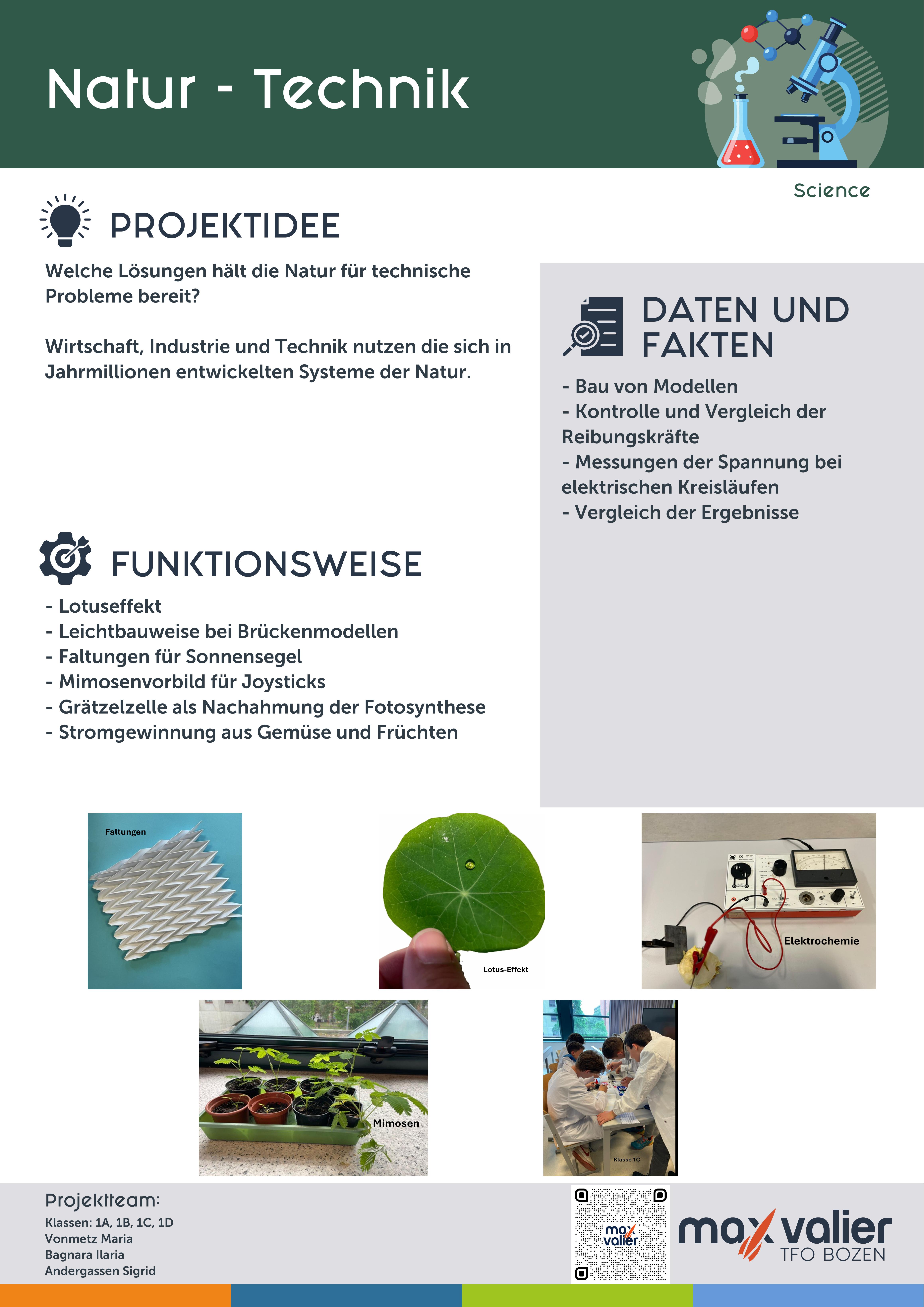 Buchseite